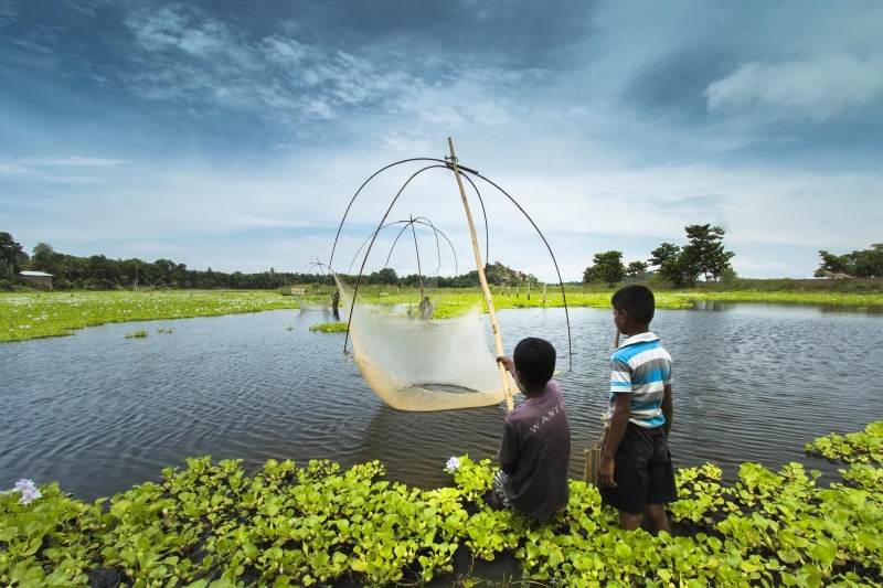 real people, sister, boy, rural, boys, child, near, males, fishing, holding, india, females, outdoors, water, togetherness, net, son, assam, bonding, kid