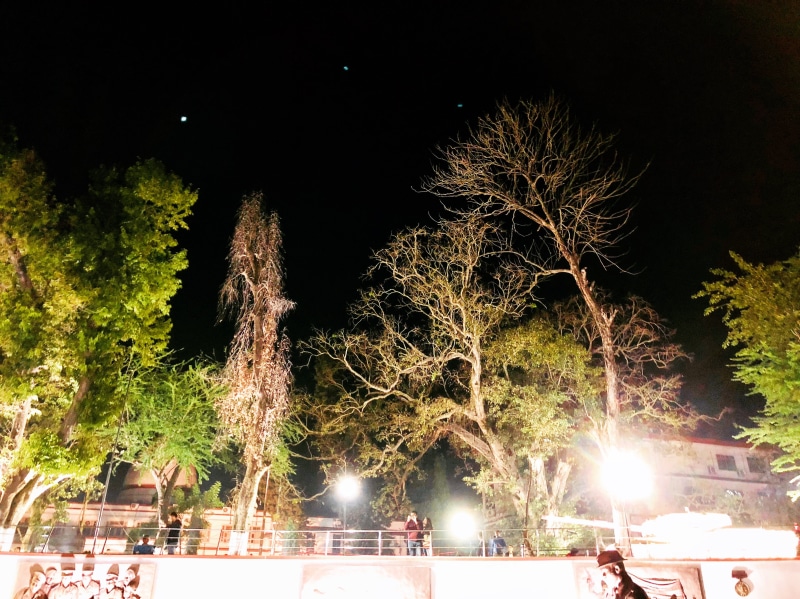 arts culture and entertainment, plant, india, lights, nature, firework display, architecture, night, light, sky, lens flare, trees, illuminated, night time