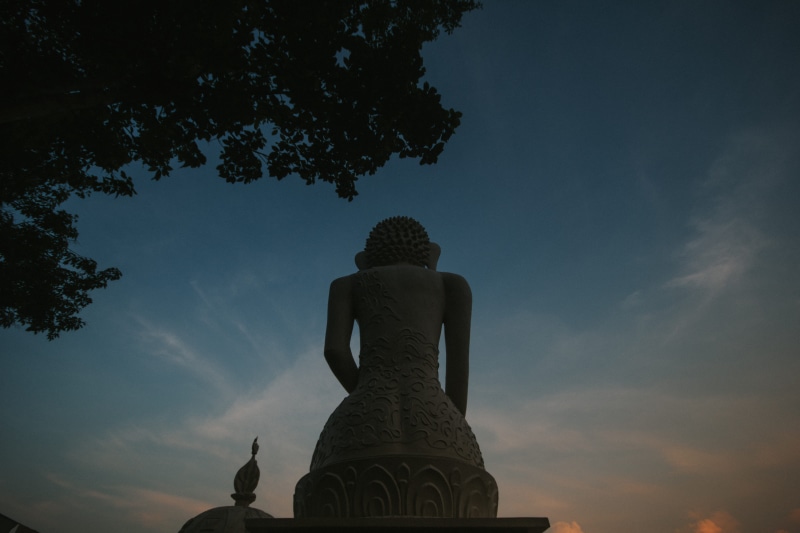 creativity, male likeness, built structure, sky, spirituality, belief, low angle view, guwahati, buddha, tree, human representation, budhism, statue, religion