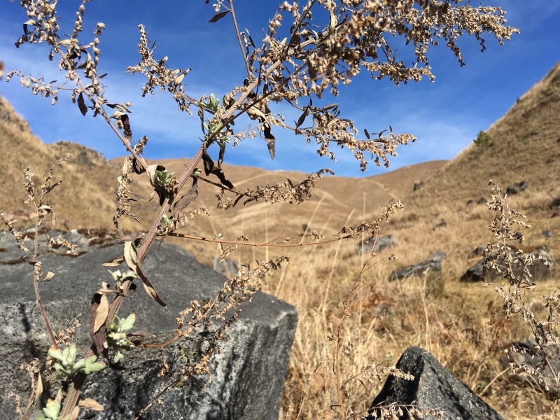 tranquil scene, 4K, mechuka village, no people, outdoors, land, plant, dried grass, environment, hills, _srijay_, arid climate, sky, arunachal mechuka