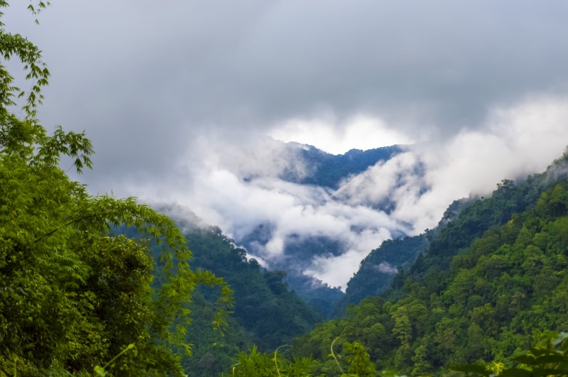 photography, nature, beauty in nature, idyllic, rainforest, scenics - nature, amazingview, arunachal pradesh, trees, non-urban scene, tranquility, darkclouds