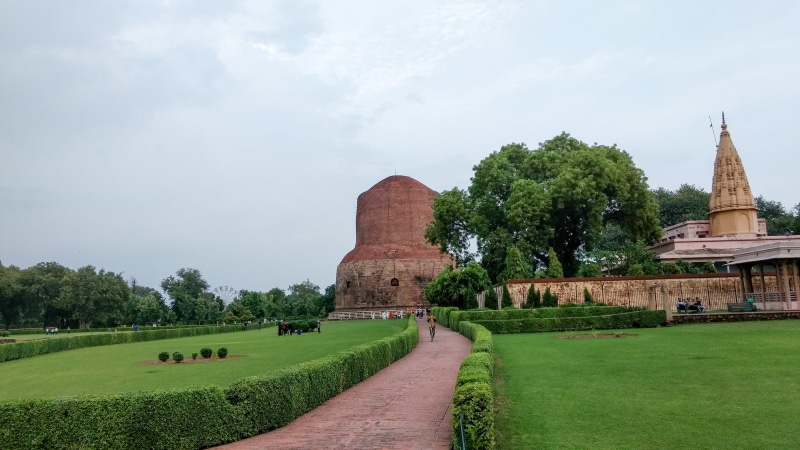 4K, tree, travel destinations, nature, ancient, history, famous Place, the past, place of worship, cultures, outdoors, buddhism, no people, dharma, religion