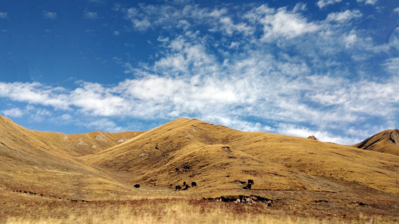 cloud - sky, day, mammal, climate, arid climate, 2K, semi-arid, amdo, environment, remote, no people, nature, tranquil scene, landscape, scenics - nature