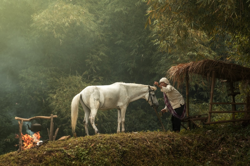 young, real people, asian, herbivorous, travel, tree, child, happy, nature, ethnic, village, culture, field, outdoors, plant, 4K, rural, land, ethnicity