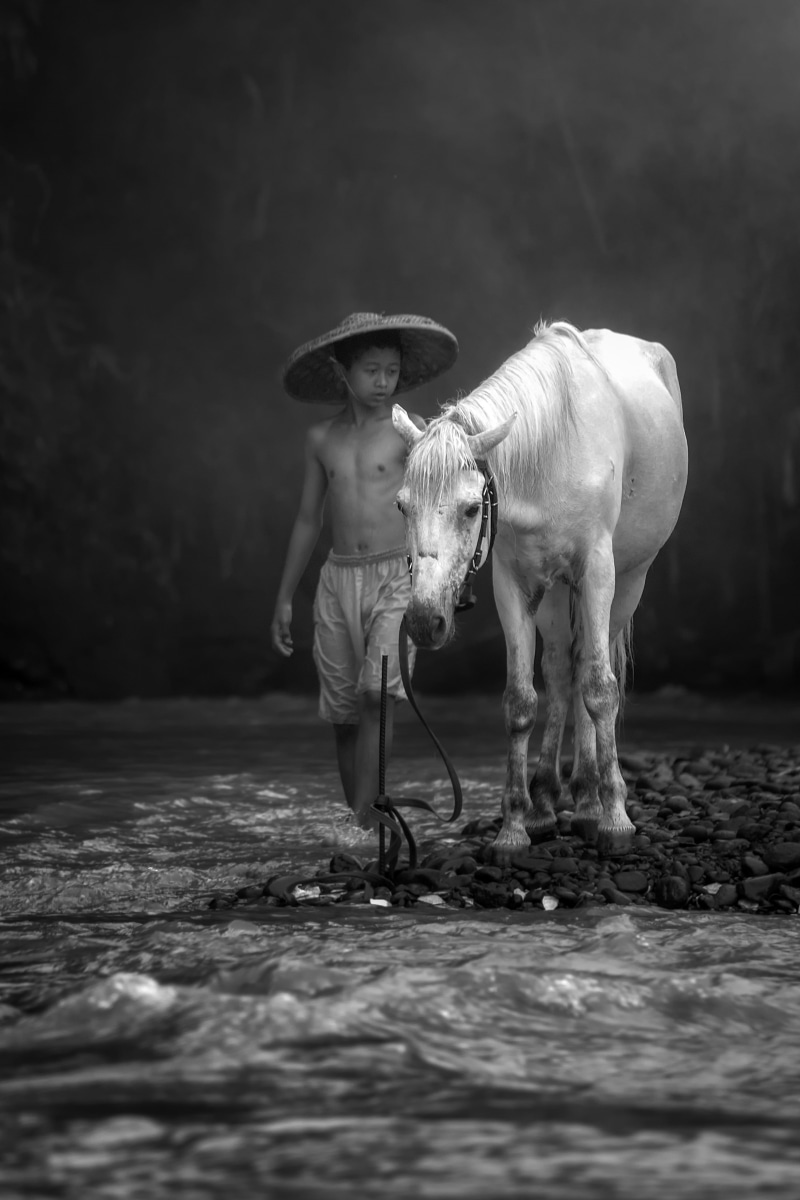 ethnicity, asia, one animal, pets, child, men, traditional, happy, mammal, domestic, asian, 4K, livestock, full length, outdoor, vertebrate, domestic animals