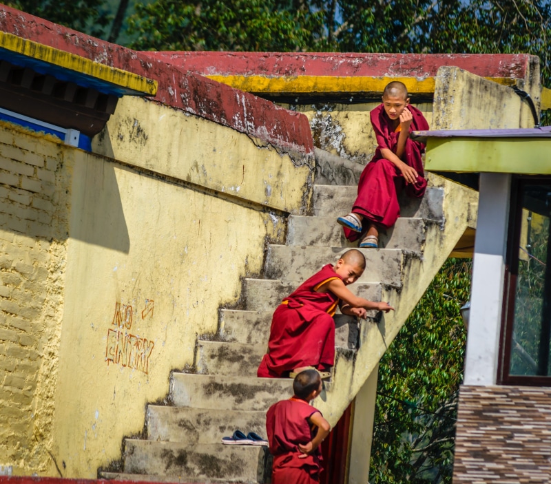 buddhism, full length, real people, 4K, small lama, staircase, building exterior, monk kids, tibetan, young men, monastery, red, adult, people, two people