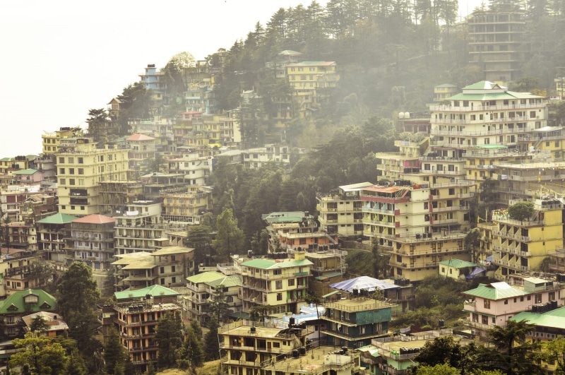 building, nature, himachal pradesh, residential district, dharmshala, cityscape, day, plant, sky, sunlight, outdoors, india, tree, architecture, city life