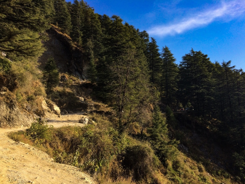 no people, nature, beauty in nature, mountain sky, tranquility, non-urban scene, scenics - nature, tranquil scene, triund trek, coniferous tree, day, land