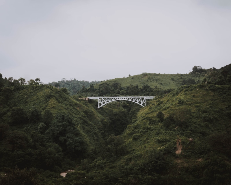 plant, river, built structure, bridge - man made structure, nature, transportation, green color, forest, scenics - nature, land, india, green, architecture