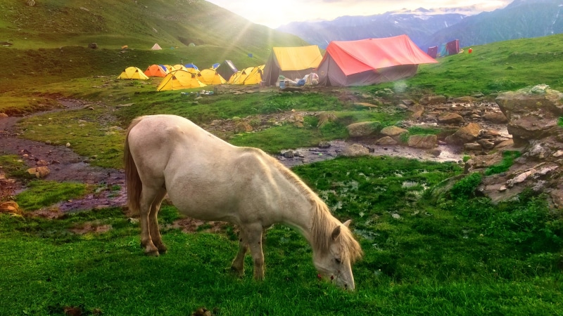 asia, valley, india, grass, grazing, pasture, tent, adenture, 4K, landscape, grassland, field, himachal pradesh, horse, creek, sunlight, highland