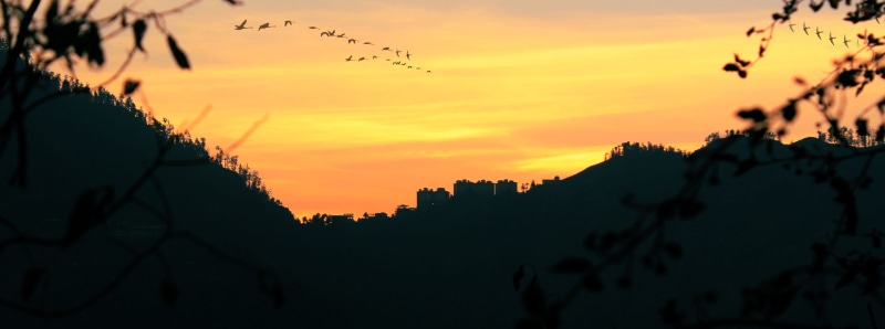 outdoors, travel destinations, tree, plant, tranquility, hill, himachal, silhouette, shimla, sunshine, architecture, india, colorful sky, dramatic sky