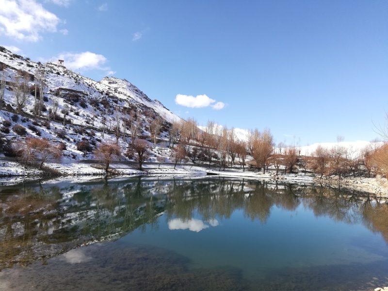 himalayas, travel, tree, spiti, outdoor, mountain, tranquility, tranquil scene, valley, outdoors, winter, snow, lake, nako, reflection, plant, himalaya