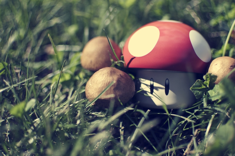 Super Mario, nikon, mushrooms, super, bros, mario, hd, video, ma, oneup, art, games, 2K, nintendo, mushroom