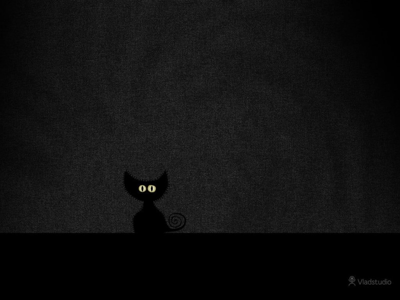 animal, dark background, cat, table, Vladstudio, textured, copy space, architecture, close-up, black color, black background, still life, dark, technology