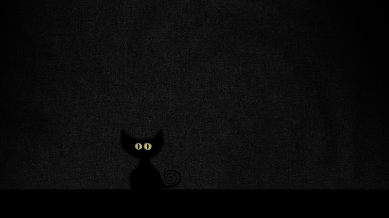 cat, spooky, architecture, dark, black cats, big cats, 1080P, close-up, illuminated, wall - building feature, auto post production filter, communication