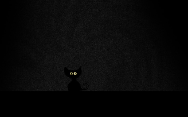 wall - building feature, indoors, single object, 2K, black background, black color, dark, mammal, night, animal themes, feline, studio shot, illuminated