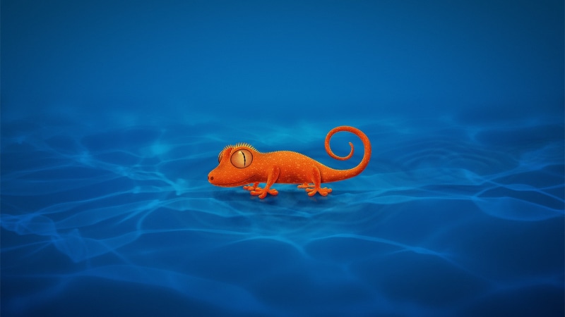 1080P, artwork, digital art, orange, animals, blue background, minimalism, gecko, Vladstudio