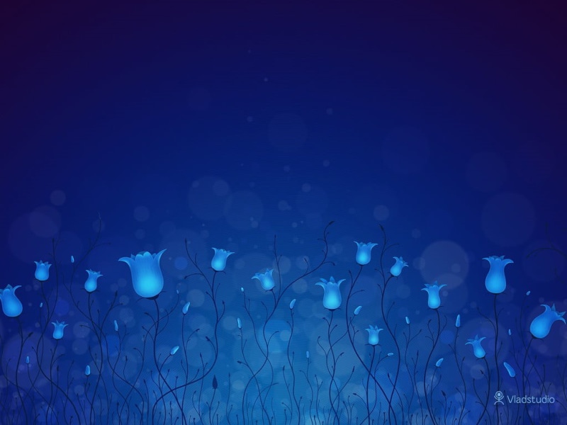 shape, 480P, transparent, water, abstract, Vladstudio, graphic, light - natural phenomenon, lighted, lighting equipment, no people, flowers, rain, nature