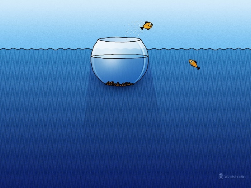 Vladstudio, fishbowls, fish, 480P, water