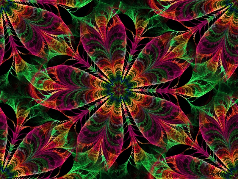 swirl, art, decoration, psychedelic, design, multicolored, circle, ornate, fractal, shape, plant, fantasy, close-up, full frame, leaf, illustration