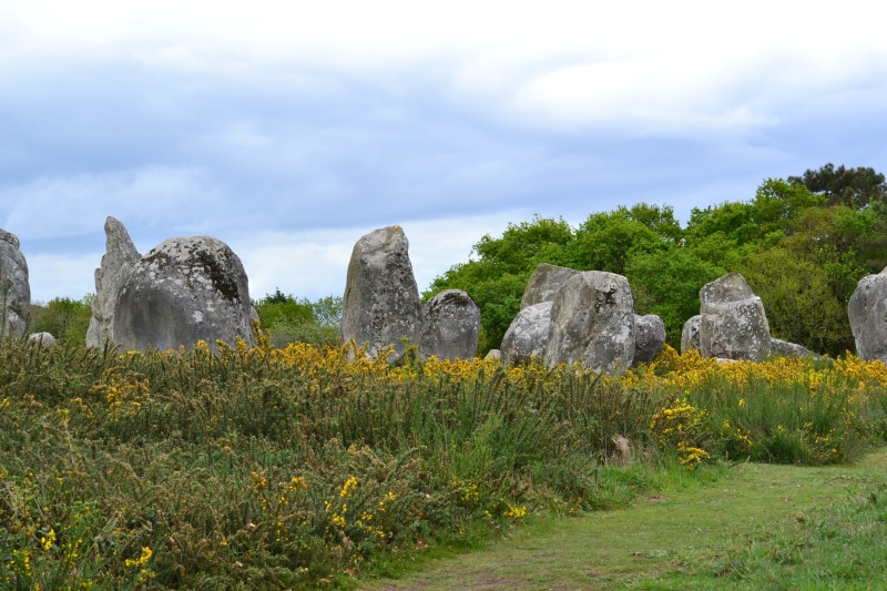 no people, stone Material, beauty in nature, land, rock, alignments, rock - object, plant, day, scenics - nature, france, Carnac, stonehenge, nature, green color
