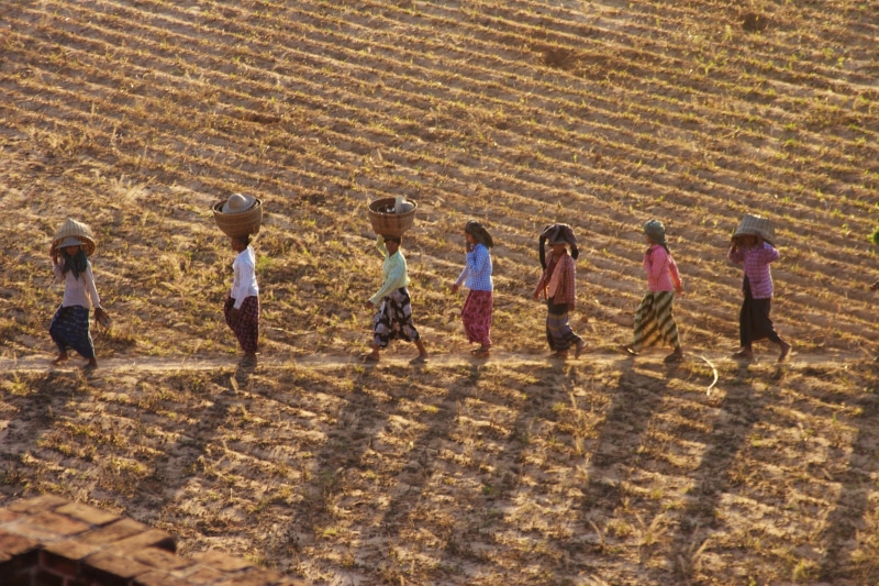 field, outdoors, walking, people, myanmar, in a row, rural scene, teamwork, aligned, sunlight, human, nature, basket, farm, group of people, environment