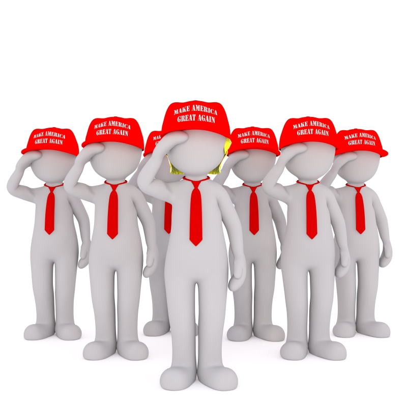comb through, facial, candidate, republican, representation, gray, facial expression, western script, donald, talk, upset, republicans, white background