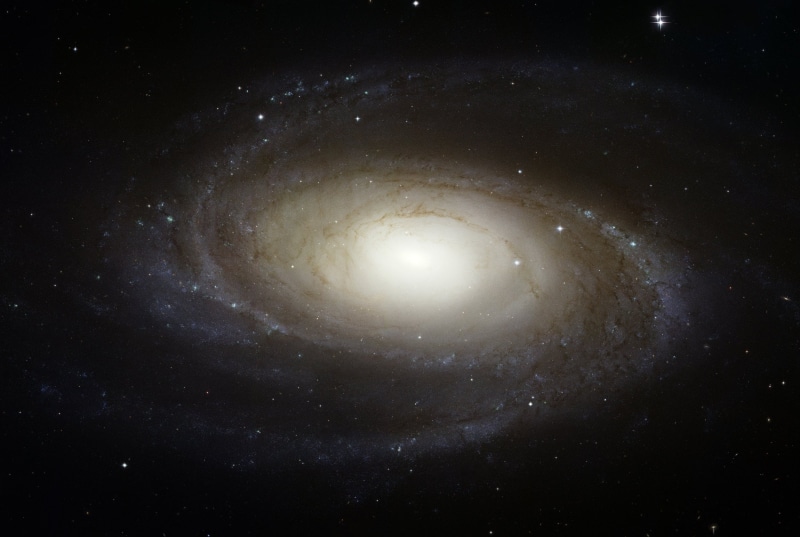 majestic, backgrounds, no people, ngc 3031, research, star - Space, aviation, astronomy, spiral, astronautics, big bar, night, constellation, space, galaxy