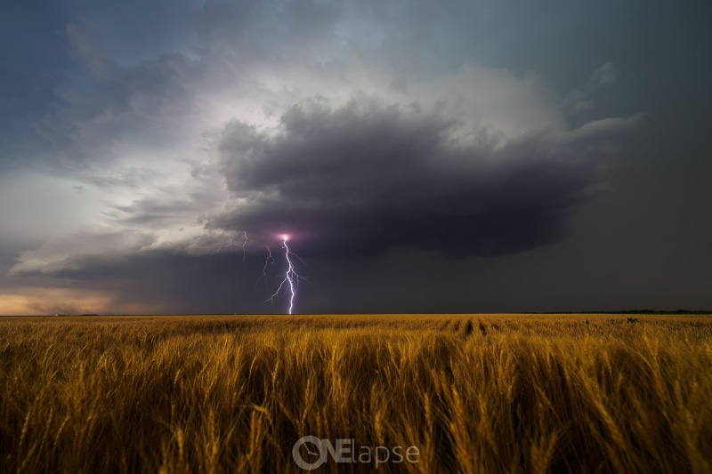 rotating thunderstorm, thunderstorm, sky, Leoti, power in nature, USA, summer, storm cloud, no people, land, cloud - sky, horizon over land, outdoors, rural scene