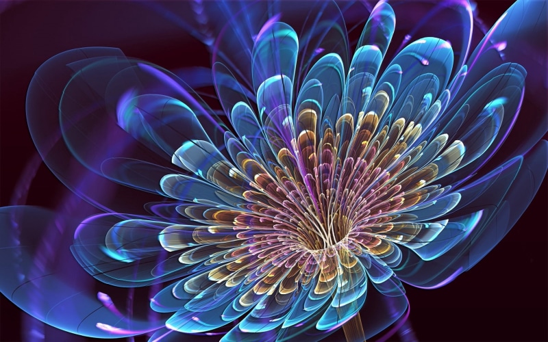 abstract, patterns, backgrounds, decoration, illustration, invertebrate, beauty in nature, glowing, lines, multi Colored, 1080P, computer Graphic, shape