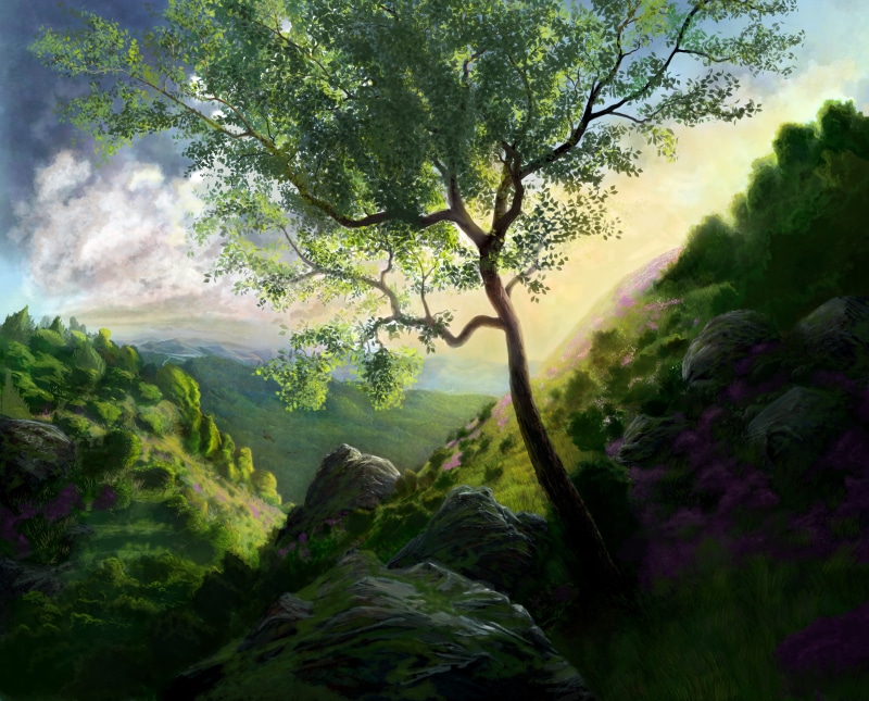 fog, landscape, sunlight, lush Foliage, mountain, tropical Climate, sunset, woodland, plant, greens, nature, branch, tropical Rainforest, cloud - Sky, tranquil Scene