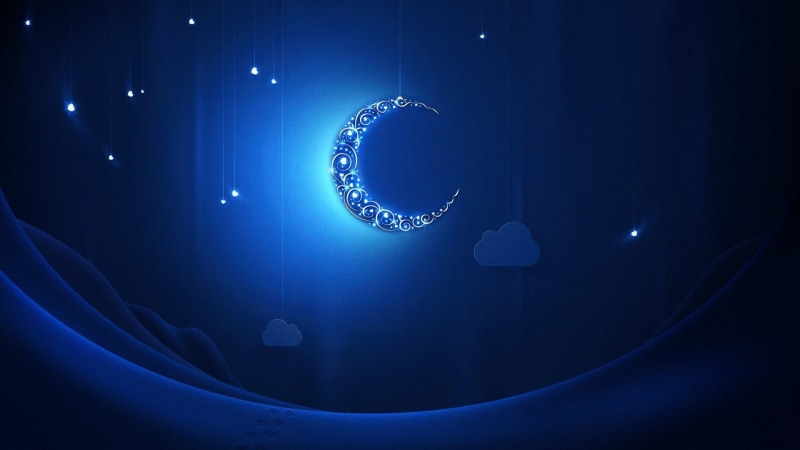 animal, vector, curve, shiny, neon, arts culture and entertainment, design, blue, animal wildlife, stage, illuminated, decoration, animal themes, glowing