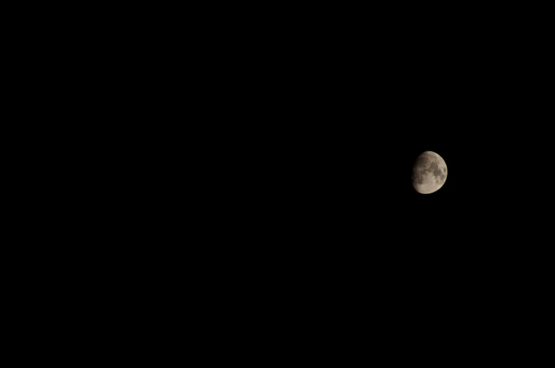half, copy space, no people, tranquility, scenics - nature, space and astronomy, outdoors, low angle view, space, astrology, Moon, moonlight, nature, night