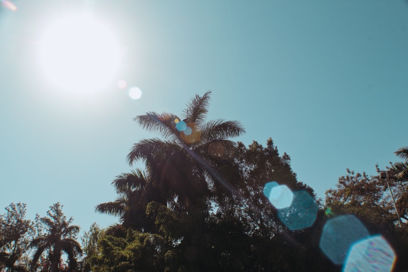 low angle view, pune, beauty in nature, day, brightly lit, nature, sky, sunbeam, scenics - nature, 5K, sinhgad college of engineering, asthetic, flare