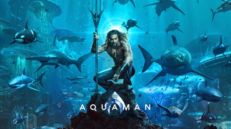 sea, fish, large group of animals, one person, group of animals, Hero of Antiquity, Aquaman, Jason Momoa, vertebrate, swimming, aquarium, animals in the wild