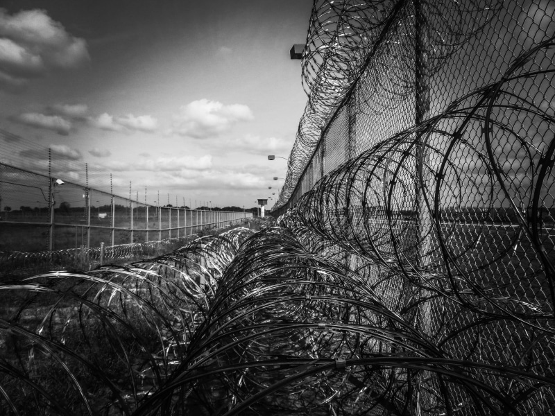 field, 4K, boundary, plant, barbed, connection, protected, safety, day, immokalee, captive, grayscale, fence, built structure, agriculture, jail, razor ribbon