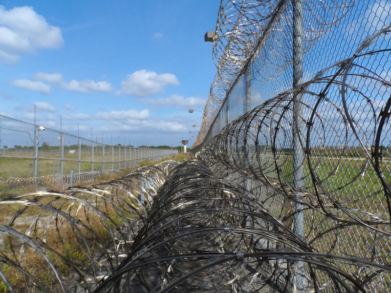 protection, captured, florida, photo, day, 4K, correctional institution, safety, nature, alloy, captive, boundary, justice, prisoner, protected, immokalee