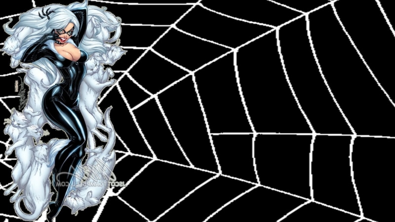 portrait, three quarter length, nature, adult, black background, arts culture and entertainment, pattern, 1080P, comics spider man black cat character felicia hardy
