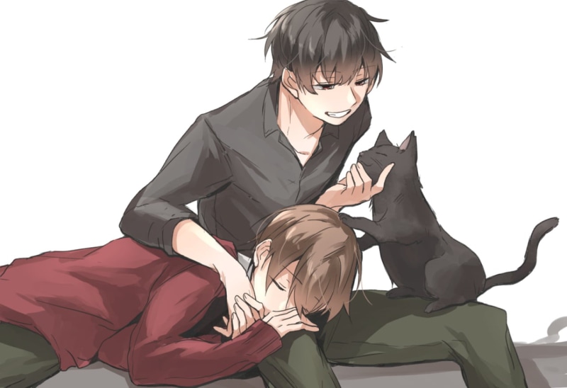 720P, Yaoi, brunette, Male, cats, anime, anime boys, black hair, sleeping