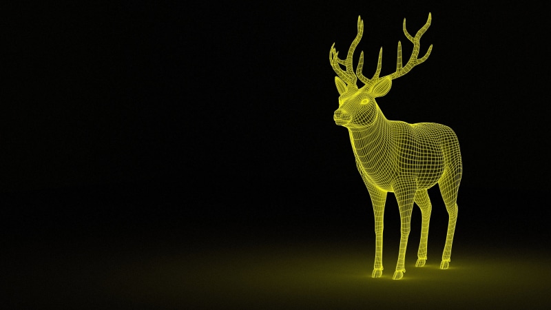 no people, one animal, artistic 4k best wallpapers for pc, 4K, environment, studio shot, green color, representation, copy space, deer, reindeer, animal themes