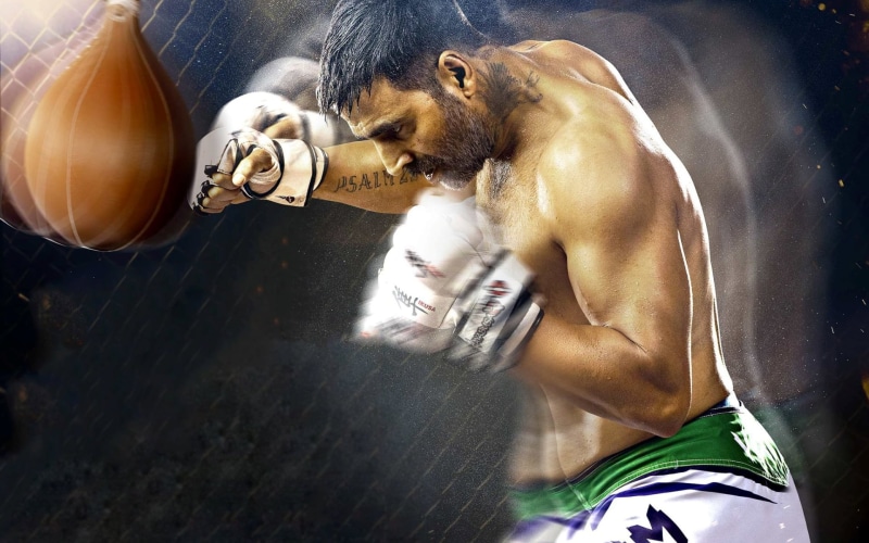 white, domestic animals, kumar, akshay, pets, people, indoors, canine, lifestyles, akshay kumar, dog, bollywood, vertebrate, shirtless, sport, brothers