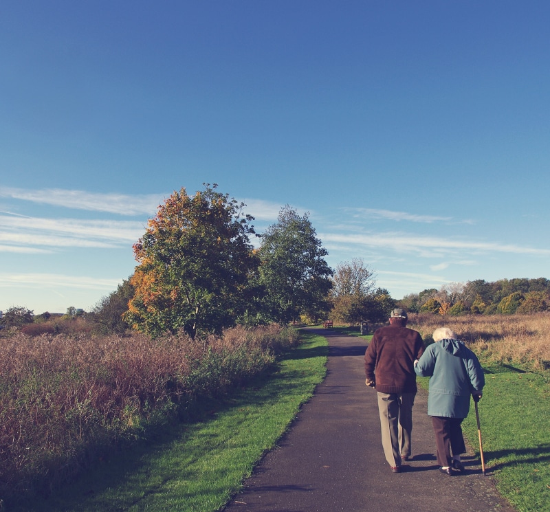 plant, beauty in nature, happy, leisure activity, lifestyles, road, men, retirement, person, concrete, women, romance, tree, bonding, sky, 2K, elderly