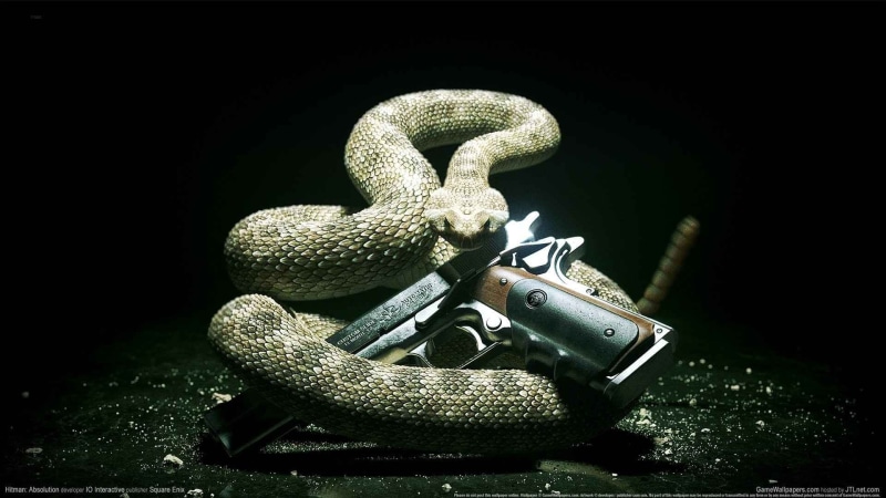 indoors, close-up, Hitman: Absolution, one animal, gun, 1080P, sign, black background, reptile, no people, animals in the wild, communication, aggression