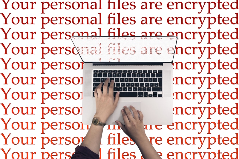 trojan, person, cyber, anti virus, body part, hacker, viruses, business, damage, red, Attack, hand, programming, computer, software, newspaper, low section