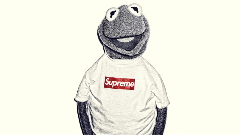 western script, 1080P, supreme, front view, Kermit the Frog, cut out, clothing, standing, lifestyles, casual clothing, one person, indoors, studio shot