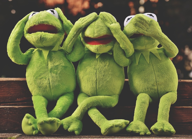 stuffed animal, for sale, not hear, funny, food, day, not see, plant, plush, 2K, green, kermit, still life, vegetable, frogs, focus on foreground, green color