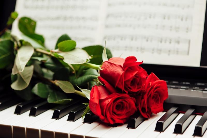 freshness, sheet Music, flower head, notes, plant part, piano Key, roses, flowers, backgrounds, keys, sound, 5K, key, no people, petal, keyboard, musical equipment