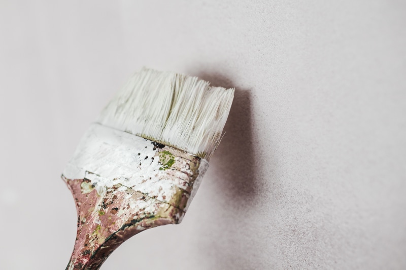 brush, close-up, single object, no people, high angle view, wood - Material, work Tool, 4K, gray background, gray, studio shot, home Improvement, jar