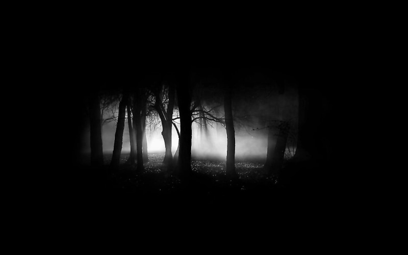 black, copy space, non-urban scene, tree, light - Natural Phenomenon, moonlight, black Color, scenics, spooky, trunk, simple, 720P, dark, fog, environment