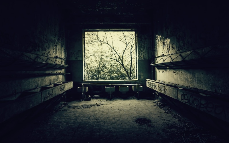 architecture And Buildings, mare, plants, no People, weathered, run-Down, indoors, empty, ruined, wall - Building Feature, decline, underground, architecture